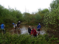 Service Project photo