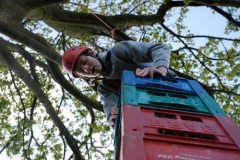 crate climbing