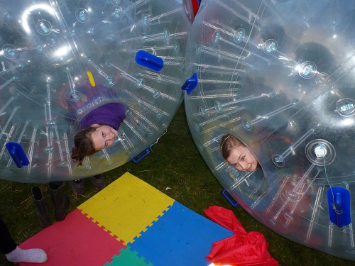 hamster zorbing